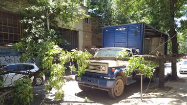 El choque del camión contra el árbol provocó la caída del tronco y las ramas sobre el vehículo en martes a las 13:00 en Monteagudo y Pueyrredón. El choque del camión contra el árbol provocó la caída del tronco y las ramas sobre el vehículo en martes a las 13:00 en Monteagudo y Pueyrredón.