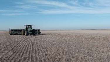 cosecha historica: lluvias inusuales revitalizan al trigo en la region nucleo cosecha historica: lluvias inusuales revitalizan al trigo en la region nucleo