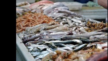 Inspecciones, denuncias de vecinos y correcta manipulación. Claves para que comer pescado no resulte peligroso. (LA OPINION)