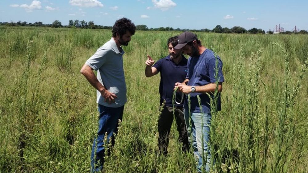 El primer Parque Solar de Pergamino ya es una realidad: comenzaron las obras en el predio El primer Parque Solar de Pergamino ya es una realidad: comenzaron las obras en el predio