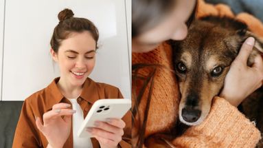 Crece la contratación de seguros a medida. Crece la contratación de seguros a medida.