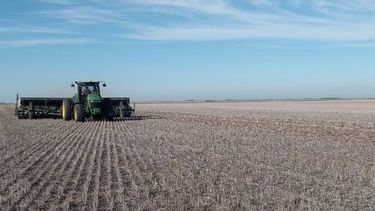 El panorama agropecuario en el partido de Ramallo y su zona de influencia atraviesa uno de sus momentos más complejos de los últimos años, con una combinación de factores climáticos adversos, bajos rindes y una ecuación económica que no logra cerrar. El panorama agropecuario en el partido de Ramallo y su zona de influencia atraviesa uno de sus momentos más complejos de los últimos años, con una combinación de factores climáticos adversos, bajos rindes y una ecuación económica que no logra cerrar.