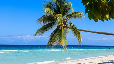 Caribe: Punta Cana, Cancún, Varadero y otros destinos de ensueño ahora están al alcance gracias a propuestas especialmente diseñadas por Cubata Viajes Caribe: Punta Cana, Cancún, Varadero y otros destinos de ensueño ahora están al alcance gracias a propuestas especialmente diseñadas por Cubata Viajes