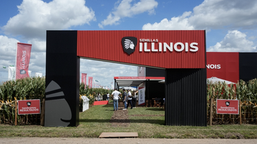 Semillas Illinois presentó oficialmente su nueva identidad visual y delineó los ejes estratégicos que marcarán su desarrollo en los próximos años. Semillas Illinois presentó oficialmente su nueva identidad visual y delineó los ejes estratégicos que marcarán su desarrollo en los próximos años.