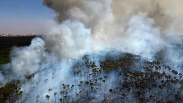 El inicio de la semana se presenta con condiciones de calor y elevada humedad en el partido de San Nicolás, generando un ambiente pesado durante gran parte de la jornada. El inicio de la semana se presenta con condiciones de calor y elevada humedad en el partido de San Nicolás, generando un ambiente pesado durante gran parte de la jornada.
