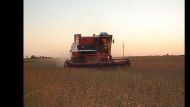 La Bolsa de Cereales de Buenos Aires estima que podría haber una retracción de 400.000 hectáreas en la siembra de soja en la próxima campaña. (ARCHIVO)