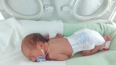 Se busca contribuir al bienestar y desarrollo de los bebés prematuros. Se busca contribuir al bienestar y desarrollo de los bebés prematuros.