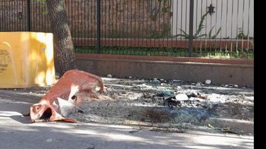 La campana que fue incendiada en esta oportunidad se encontraba en calle 3 de Febrero al 1.000. La campana que fue incendiada en esta oportunidad se encontraba en calle 3 de Febrero al 1.000.