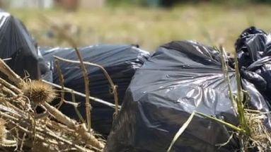 La recolección de residuos voluminosos tiene el cronograma de octubre