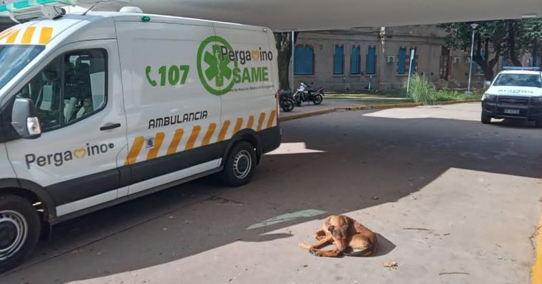 En la guardia pediátrica del Hospital San José asistieron a la bebé para practicarle curaciones en la lesión superficial en el brazo izquierdo.
