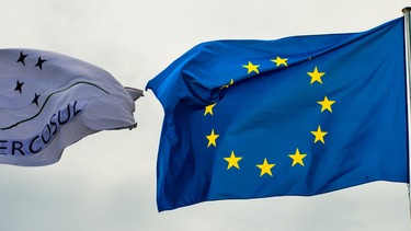 mercosur advierte a la union europea por salvaguardias agricolas y cambios en el acuerdo mercosur advierte a la union europea por salvaguardias agricolas y cambios en el acuerdo