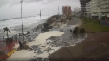 El dato que más preocupó a los especialistas fue la aparición de erosión en sectores que, hasta ahora, no presentaban signos visibles de daño. El dato que más preocupó a los especialistas fue la aparición de erosión en sectores que, hasta ahora, no presentaban signos visibles de daño.