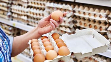 El consumo per cápita argentino trepó a 398 huevos por persona al año El consumo per cápita argentino trepó a 398 huevos por persona al año