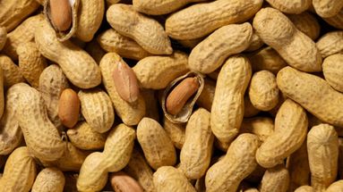 Hernando, Córdoba, es la Capital Nacional del Maní. Cada mes de noviembre celebra su fiesta con espectáculos culturales y gastronomía. Hernando, Córdoba, es la Capital Nacional del Maní. Cada mes de noviembre celebra su fiesta con espectáculos culturales y gastronomía.