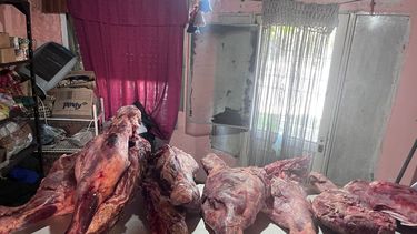Las patas de animales bovinos faenados en presuntos episodios de abigeato recientes. Las patas de animales bovinos faenados en presuntos episodios de abigeato recientes.