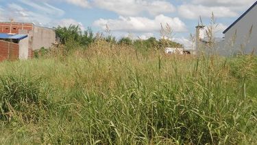 Las tareas comenzaron tras reclamos canalizados a través de SantIA, el canal de atención ciudadana que funciona por WhatsApp. Las tareas comenzaron tras reclamos canalizados a través de SantIA, el canal de atención ciudadana que funciona por WhatsApp.