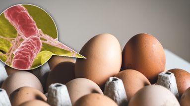 Salud: Pautas para la prevención de Salmonella y cuidado de los consumidores