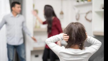 El 53 por ciento de las causas ingresadas en 2022, es decir 2.112, fueron de violencia familiar y de género. El 53 por ciento de las causas ingresadas en 2022, es decir 2.112, fueron de violencia familiar y de género.