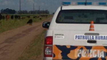 buscan al profugo herido tras un feroz tiroteo con policias rurales frente al inta pergamino buscan al profugo herido tras un feroz tiroteo con policias rurales frente al inta pergamino