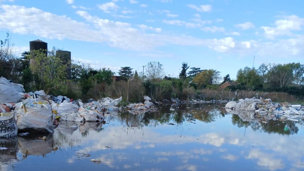 Agustina Pérez y María Cristina Varela, integrantes del Movimiento de Trabajadores Excluidos. «Hacemos el trabajo que nadie quiere hacer». Es en el contexto del conflicto que mantienen con la Municipalidad por la falta de la reparación del camión por lo que aún no han tenido respuesta. Agustina Pérez y María Cristina Varela, integrantes del Movimiento de Trabajadores Excluidos. «Hacemos el trabajo que nadie quiere hacer». Es en el contexto del conflicto que mantienen con la Municipalidad por la falta de la reparación del camión por lo que aún no han tenido respuesta.