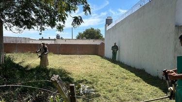 El Municipio de Ramallo inició un operativo integral para intervenir terrenos baldíos en estado de abandono, una problemática que se repite en distintos sectores del distrito y que genera reclamos vecinales, además de riesgos sanitarios y de seguridad. El Municipio de Ramallo inició un operativo integral para intervenir terrenos baldíos en estado de abandono, una problemática que se repite en distintos sectores del distrito y que genera reclamos vecinales, además de riesgos sanitarios y de seguridad.