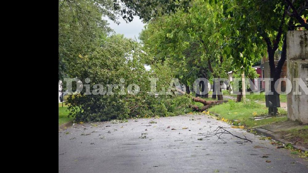 En el predio de la firma Diarco hubo un severo daño al caerse una estructura de chapa que servía como alero. (LA OPINION)