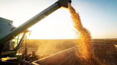 El campo reclama previsibilidad y un sendero claro de reducción de impuestos. El campo reclama previsibilidad y un sendero claro de reducción de impuestos.