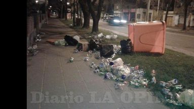 Las campanas donde se colocan las botellas plásticas fueron dañadas ayer a la madrugada en la zona de avenida Rocha. (LA OPINION)