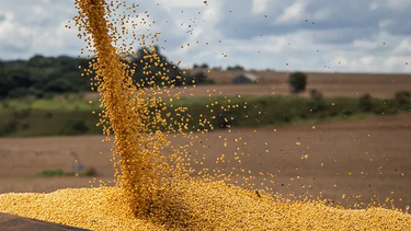 fada y un dato que preocupa al campo: mas del 60% de sus ganancias se va en impuestos fada y un dato que preocupa al campo: mas del 60% de sus ganancias se va en impuestos