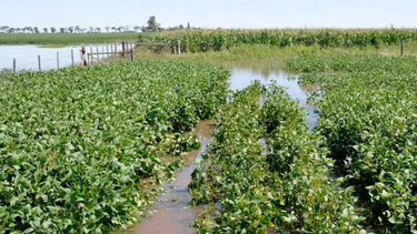 en el norte bonaerense rige alerta por fuertes lluvias en el norte bonaerense rige alerta por fuertes lluvias