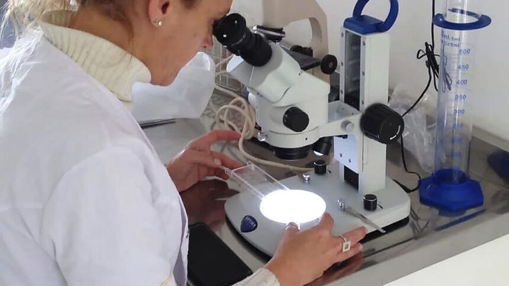 Pergamino refuerza la prevención y concientización en la Semana de Lucha contra la Triquinosis Pergamino refuerza la prevención y concientización en la Semana de Lucha contra la Triquinosis
