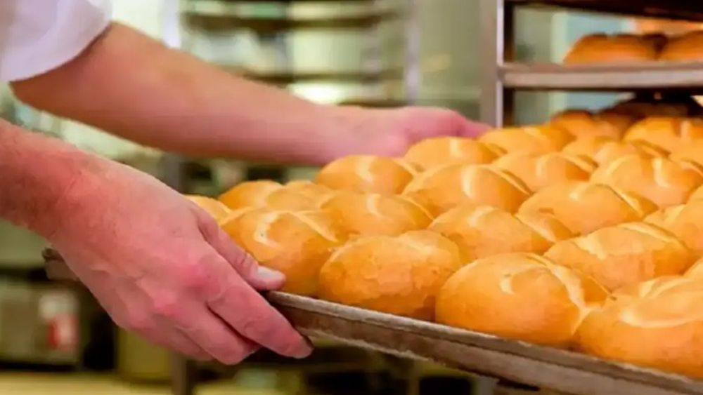Provincia: Advierten una caída del 45% en las ventas en las panaderías y un récord de cierres para 2026 Provincia: Advierten una caída del 45% en las ventas en las panaderías y un récord de cierres para 2026
