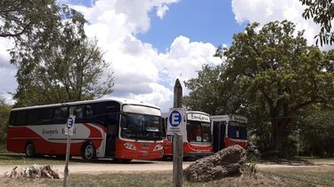 A partir de ahora, y puesto que repusieron la tasa de pesaje para camiones, sólo pagarán este gravamen los vehículos de transporte de pasajeros que superen la capacidad de 40 asientos. A partir de ahora, y puesto que repusieron la tasa de pesaje para camiones, sólo pagarán este gravamen los vehículos de transporte de pasajeros que superen la capacidad de 40 asientos.