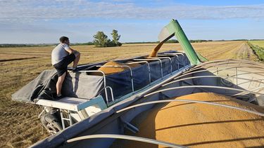 el agro liquida divisas: casi u$s 9 mil millones en lo que va de 2025 el agro liquida divisas: casi u$s 9 mil millones en lo que va de 2025