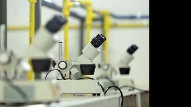 El evento servirá para presentar los alcances de los distintos proyectos de investigación. (UNNOBA)