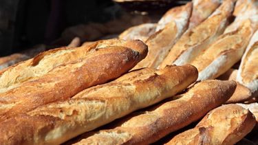 industriales del pan advierten por un aumento inminente en el precio industriales del pan advierten por un aumento inminente en el precio