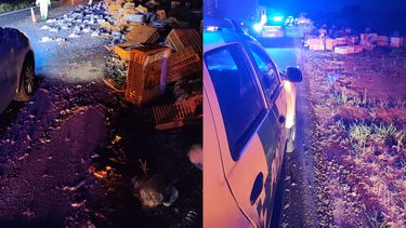 volco un camion cargado con gallinas en la autopista de la ruta 8 a la altura de urquiza volco un camion cargado con gallinas en la autopista de la ruta 8 a la altura de urquiza