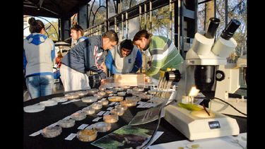 Los datos se presentaron en el marco del TEC Unnoba, un evento que convoca a estudiantes secundarios. (UNNOBA)