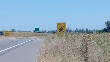 Autopista Pilar Pergamino: una traza clave  sumida en el abandono y con futuro incierto