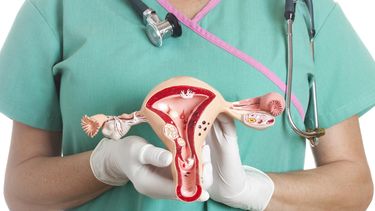 En el marco del Mes de la Prevención del Cáncer de Cuello de Útero, la sede local de LALCEC lanzó una campaña de concientización y atención ginecológica orientada a la detección temprana de esta patología. En el marco del Mes de la Prevención del Cáncer de Cuello de Útero, la sede local de LALCEC lanzó una campaña de concientización y atención ginecológica orientada a la detección temprana de esta patología.