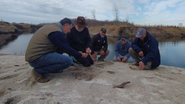El Museo Paleontológico de San Pedro suma nuevos hallazgos clave en la Estancia El Algarrobo El Museo Paleontológico de San Pedro suma nuevos hallazgos clave en la Estancia El Algarrobo