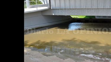El agua estancada en la obra generó preocupación entre los vecinos. (LA OPINION)