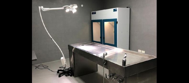 Se busca extremar las medidas preventivas con el objeto de preservar particularmente la salud del personal del Ministerio Público (DIB).