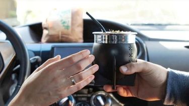 seguridad vial: por que tomar mate al volante puede terminar en una sancion seguridad vial: por que tomar mate al volante puede terminar en una sancion