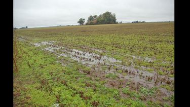 El fenómeno El Niño ocurre cada 3 ó 7 años. (ARCHIVO LA OPINION)