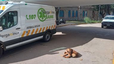 En la guardia pediátrica del Hospital San José asistieron a la bebé para practicarle curaciones en la lesión superficial en el brazo izquierdo.