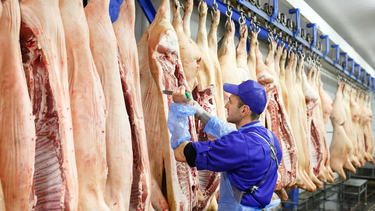 La industria está enfrentando un conjunto de problemas que afectan directamente su rentabilidad. La industria está enfrentando un conjunto de problemas que afectan directamente su rentabilidad.