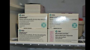 La vacuna que previene esta enfermedad fue incluida este año al calendario. (ARCHIVO)