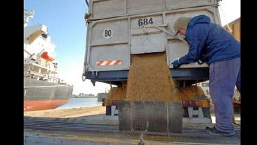 Argentina exportó en 2015, 13,3 millones de toneladas de porotos de soja. (ARCHIVO)