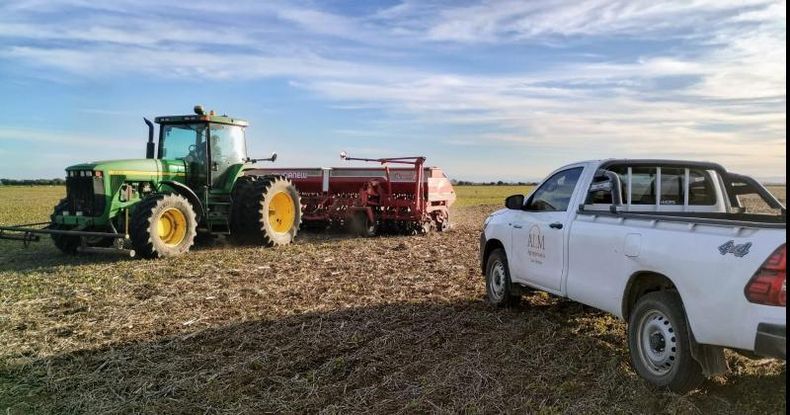 De acuerdo al informe, si bien disminuyó la diferencia entre el precio percibido por los productores y la cotización internacional de los granos, en el horizonte aparecen señales por demás preocupantes.